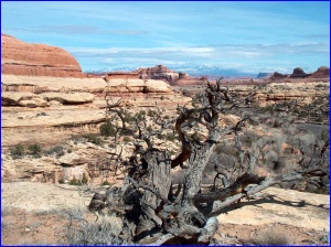 Squaw Canyon