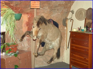 Wall Mustang
