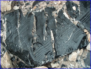 Obsidian