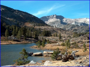 Inyo Nat'l Forest