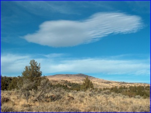 Salmonized Cloud