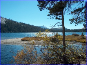 Tenaya Lake Glinting