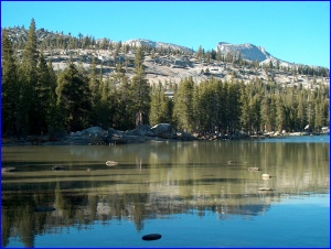 Transparent Reflections