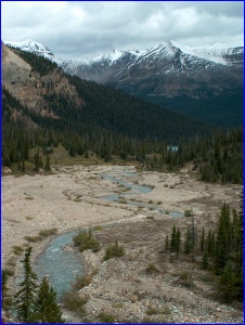 upper Bow River
