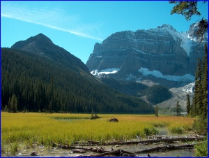 Cirque Lake Grasses