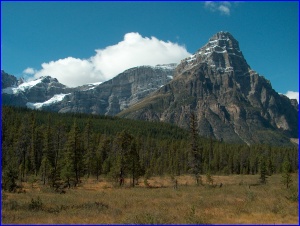 Mt. Chephren