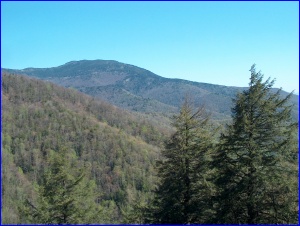 Mt. Mitchell