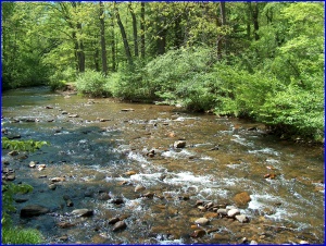 North Mills River