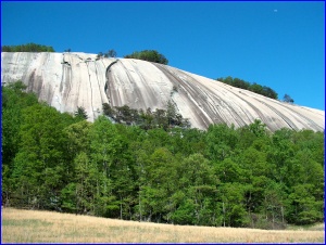 Stone Mountain Meadow