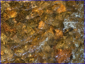 Water & Pebbles
