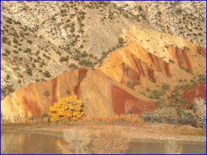 Anticline
