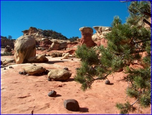 Capitol Reef Zen Garden