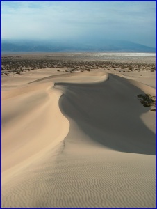 Dune Ridge
