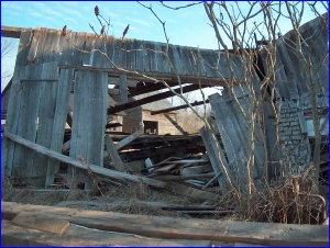 Fallen Barn
