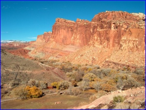 Fruita View