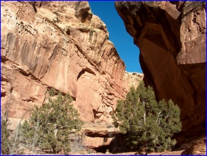 Grand Wash