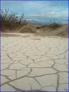Interdune Cracks