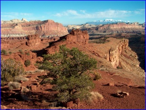 Panorama Point