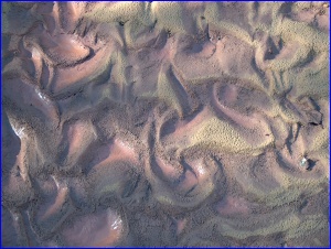 Purple Mud