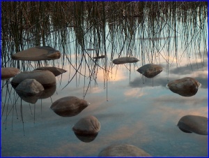 Kinky Lake Reflections
