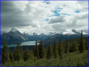 Maligne Lake View