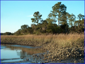 Low Tide