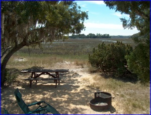 Salt Marsh View