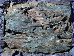 Blue Dragon