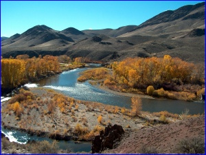Salmon River