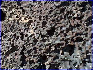 Vesicles