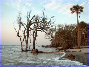 Erosion in action