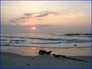 Hunting Island Sunrise