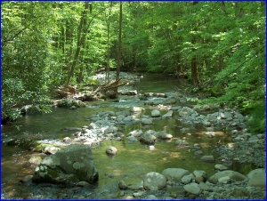 Bradley Fork