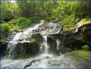 Hen Wallow Falls