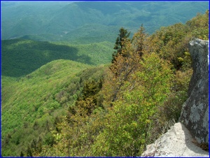 Mt Cammerer