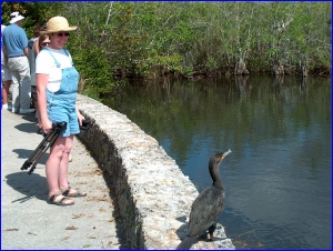 Teresa & Cormorant
