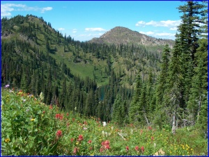 Flowers and Twin Lake