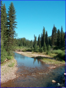 Monture Creek