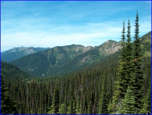 Noisy Creek Valley
