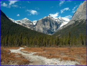 Emerald Lake Alluvial Fan