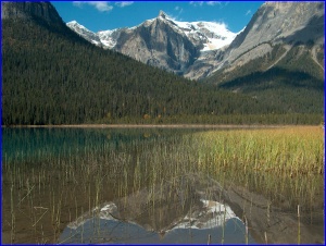 Emerald Lake Reflections