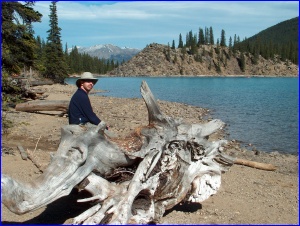 Sterling At Moraine Lake