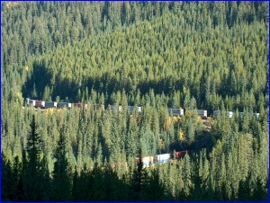 Spiral Tunnel - this is a single train