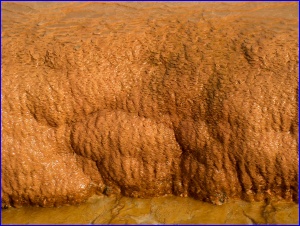 Minerals at the geyser