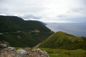View from Skyline Trail