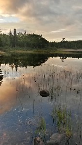 Warren Lake Dawn