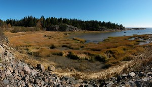 Saint Lawrence Shore Saint Lawrence Shore