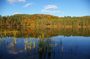 Quechee Mill Pond Quechee Mill Pond