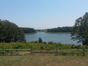 Salt Pond