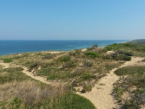 Marconi Site